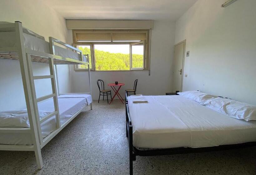 4인용 스탠다드 룸, Meet Hostel Cervia