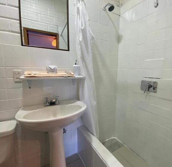 스탠다드 룸, Garden House Hostal