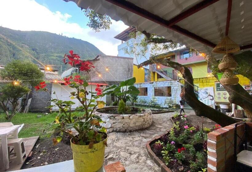 חדר סטנדרט לארבעה, Garden House Hostal