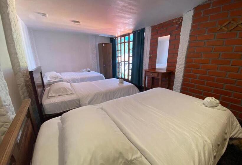 4인용 스탠다드 룸, Garden House Hostal