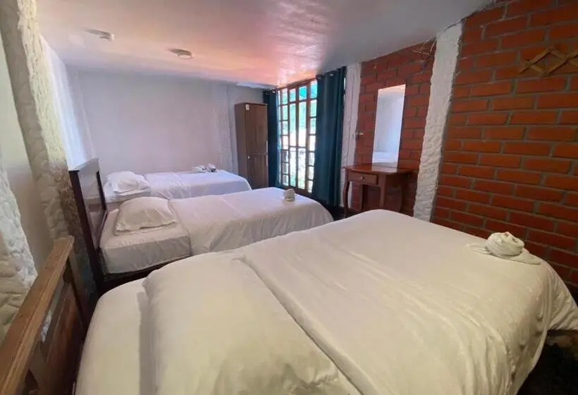 اتاق استاندارد چهار تخته, Garden House Hostal