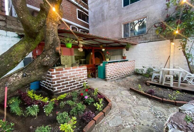 חדר סטנדרט לארבעה, Garden House Hostal