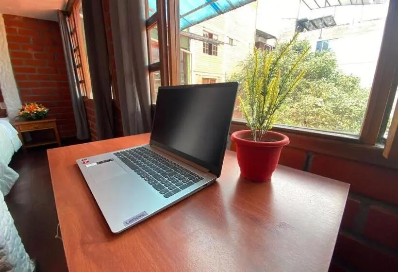 اتاق استاندارد با چشمانداز باغ, Garden House Hostal