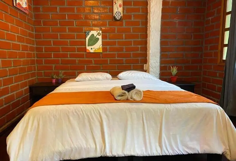 اتاق استاندارد با چشمانداز باغ, Garden House Hostal