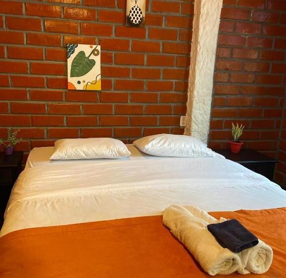 스탠다드 룸 가든 전망, Garden House Hostal