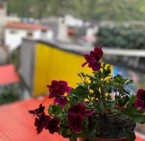 חדר סטנדרט נוף לגינה, Garden House Hostal