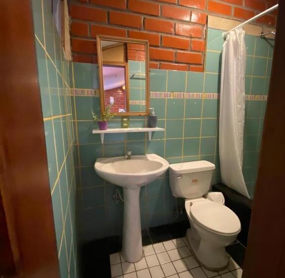 חדר סטנדרט נוף לגינה, Garden House Hostal