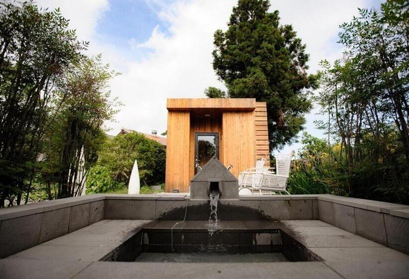 חדר סטנדרט לארבעה, Ilo Pension