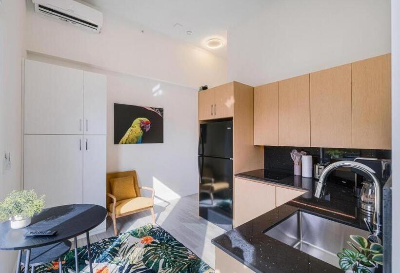 סטודיו סטנדרט עם מרפסת, Olive Apartments