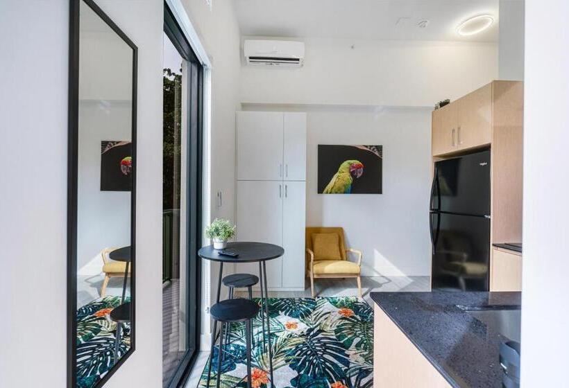 Студио Стандарт с Балконом, Olive Apartments