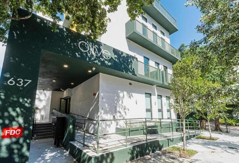 מיטה בחדר משותף, Olive Apartments