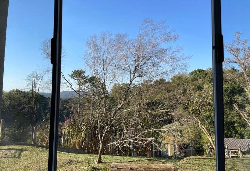 标准间, Alto Do Mato