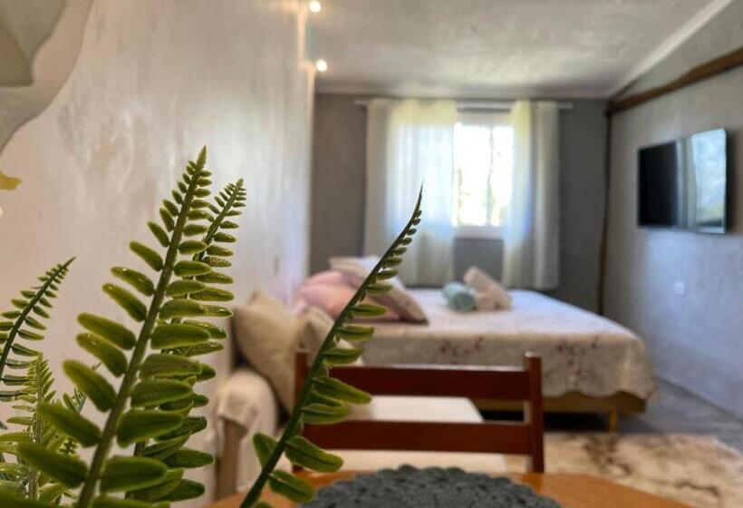 带大床的豪华间, Alto Do Mato