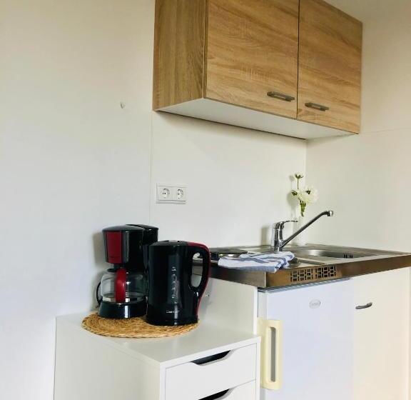 شقة غرفة واحدة, Apartment Haus Isenbüttel