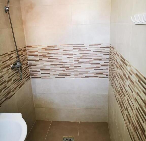 غرفة قياسية, Sunny Days