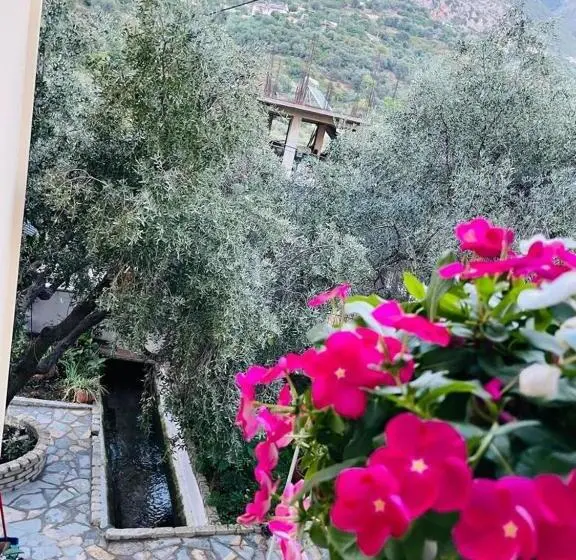 اتاق لوکس با بالکن, Villa Aristoteli