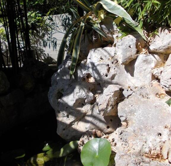 דירת חדר, B&b Il Bambù