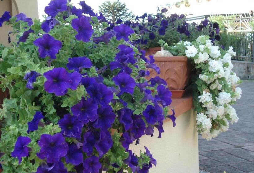 اتاق استاندارد با چشمانداز کوهستان, Globetrotter