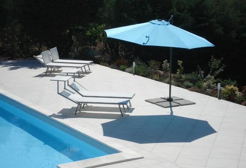 سوئیت با تخت بزرگ, Globetrotter