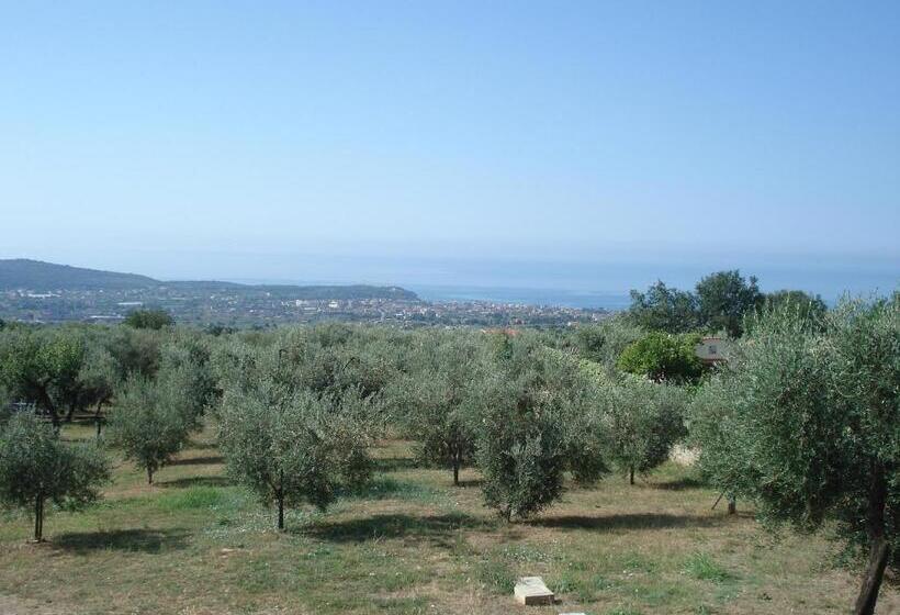 سوئیت با تخت بزرگ, Globetrotter