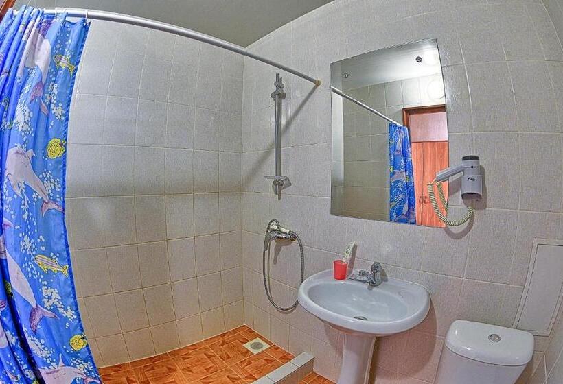 اتاق سوپریور یک تخته, Gostinitsa Tselinnaya