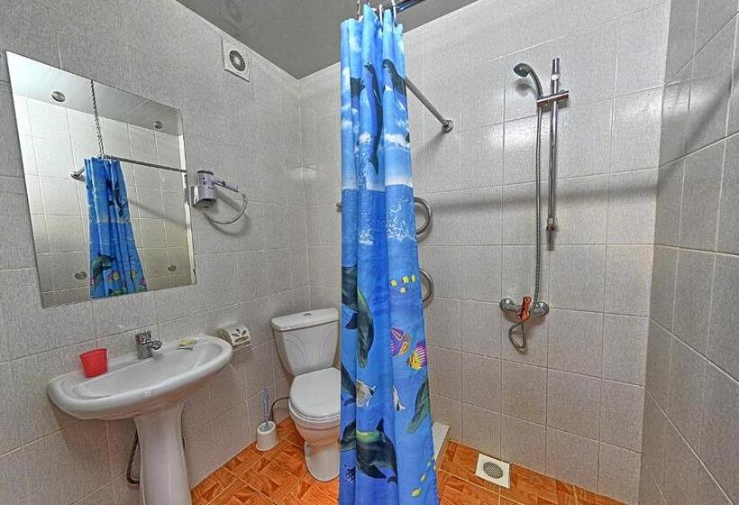 اتاق سوپریور یک تخته, Gostinitsa Tselinnaya