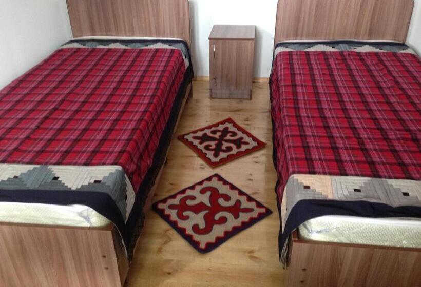 اتاق اکونومی, Shyrdak Travel