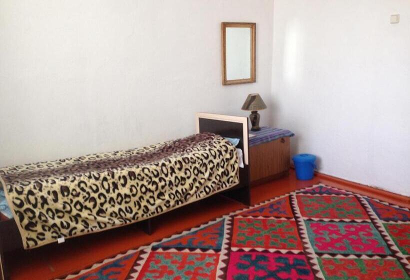 اتاق اکونومی, Shyrdak Travel
