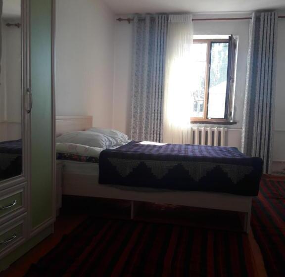 اتاق اکونومی, Shyrdak Travel