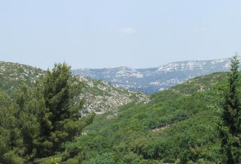 수피리어 룸, Lou Pin Dou Papet