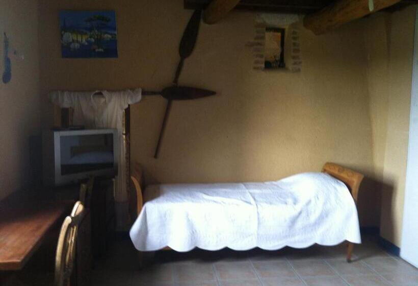 غرفة قياسية ثلاثية, Les Coquettes