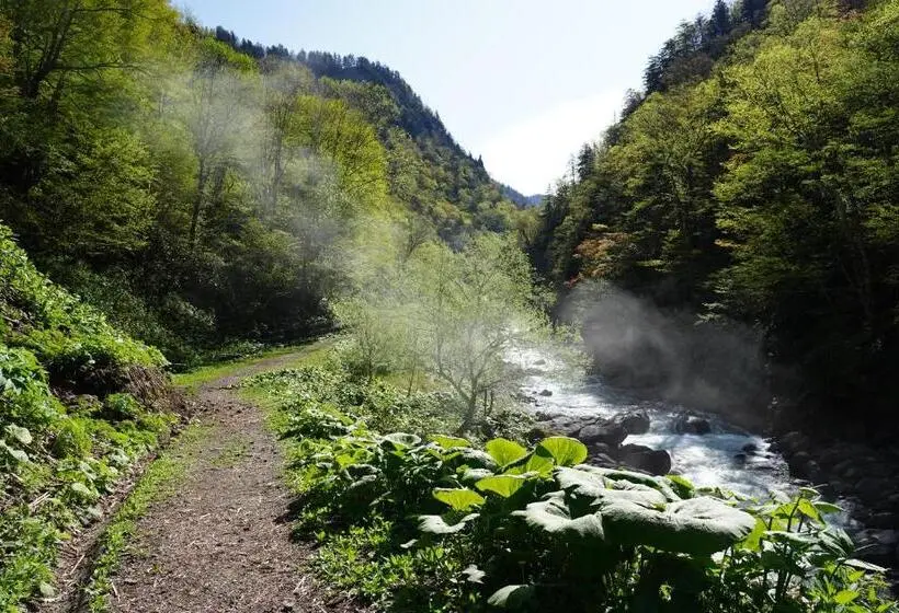 Basic-huone Jaettu Kylpyhuone, Shikishimaso