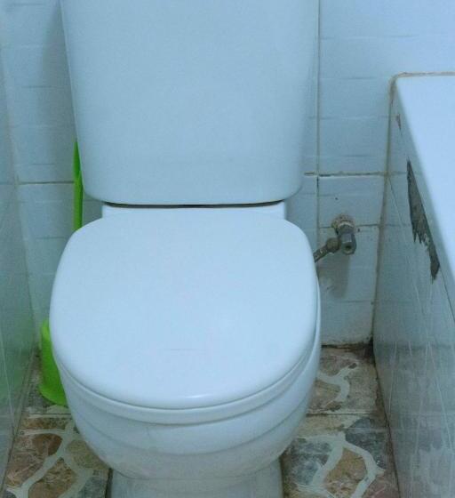 اتاق اکونومی یک تخته, Capricon Executive