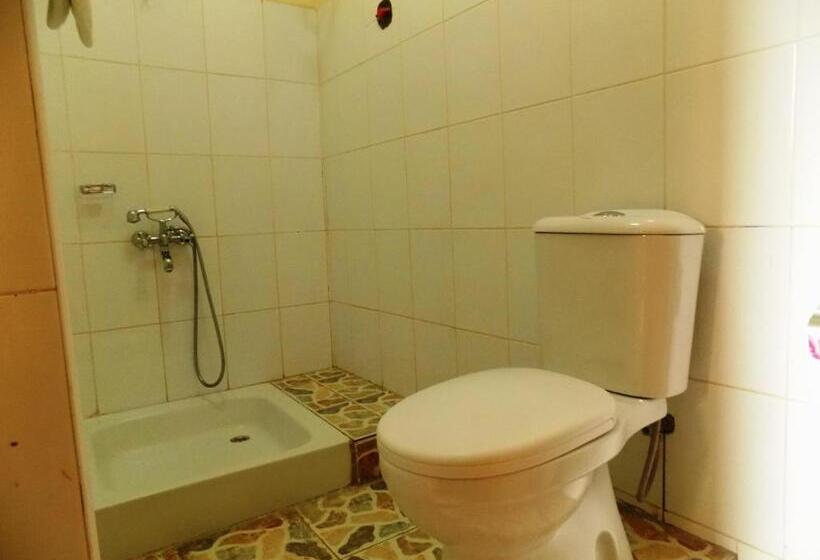 اتاق استاندارد, Capricon Executive