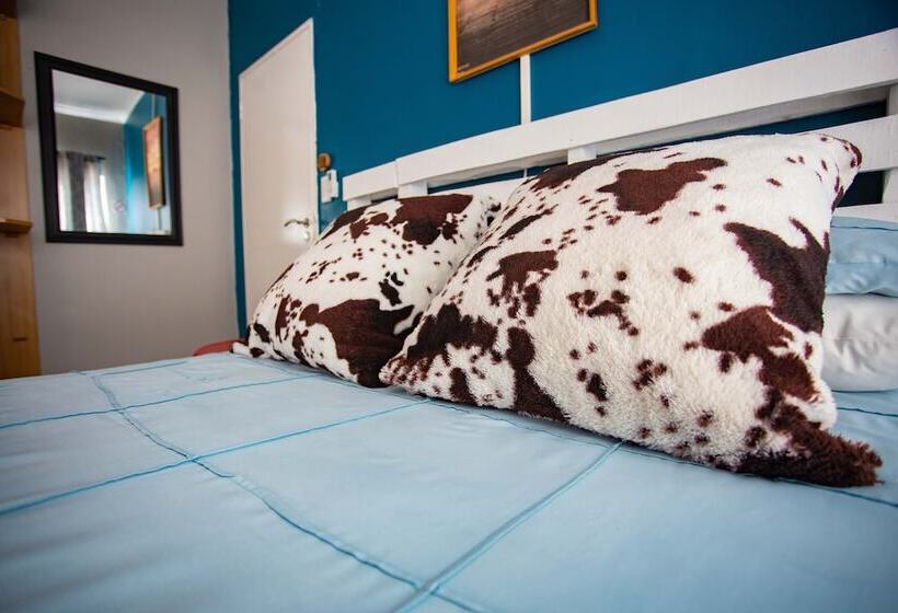 Номер Стандарт, Kate S Nest Guesthouse & Backpackers