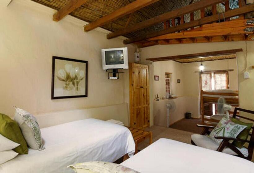 غرفة عائلية, Nanna Rous  Town House