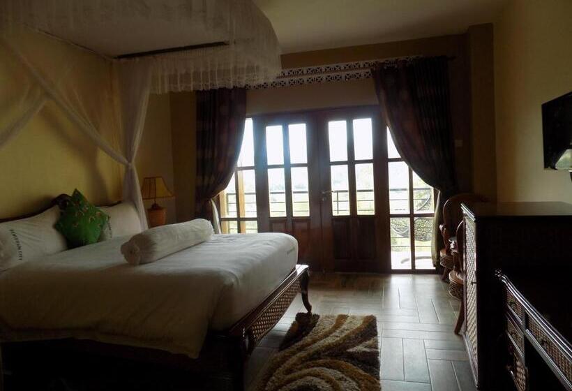 اتاق لوکس, Fort Fun City