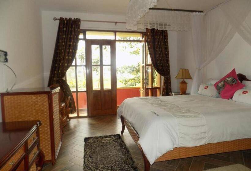 اتاق لوکس, Fort Fun City