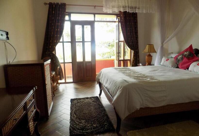 اتاق لوکس, Fort Fun City