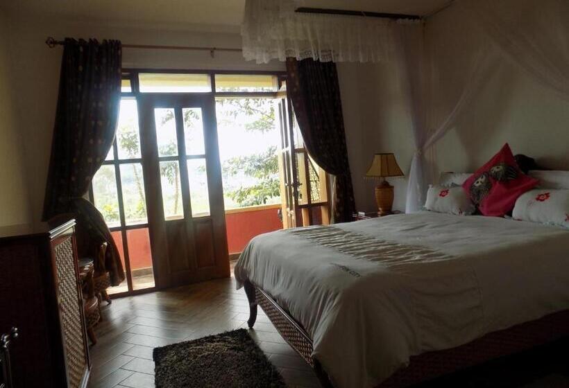 اتاق لوکس, Fort Fun City