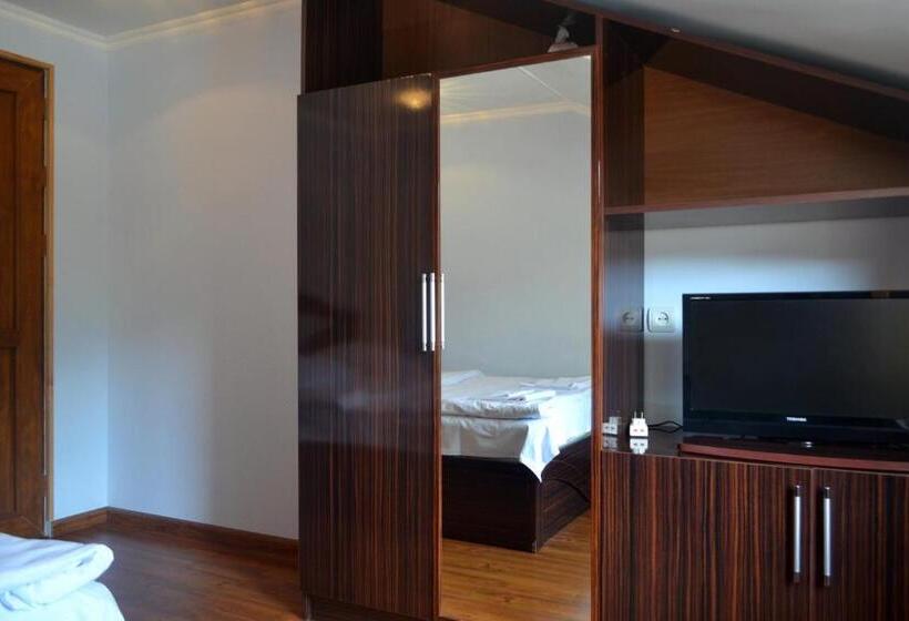 バス共有のスタンダードルーム, Nirvana