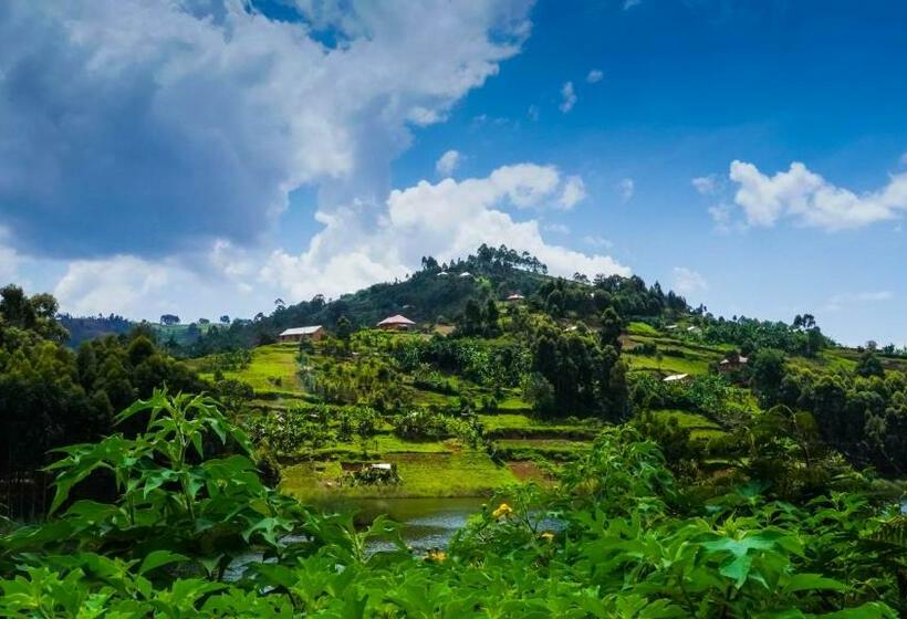 اتاق خانوادگی, Paradise Eco Hub