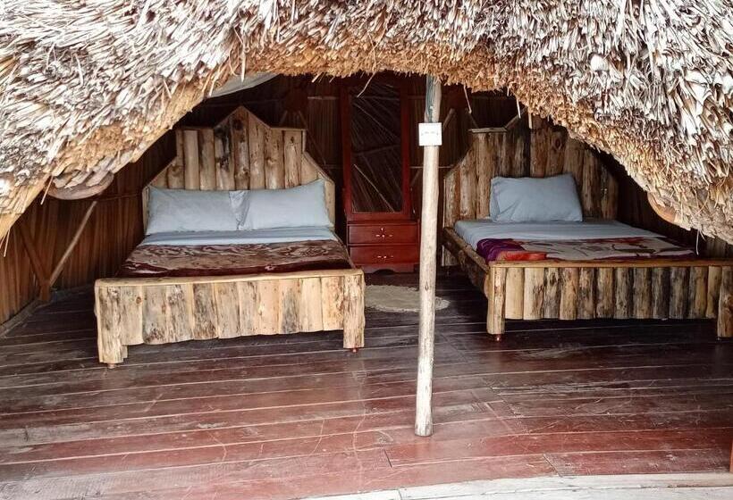 اتاق خانوادگی, Paradise Eco Hub