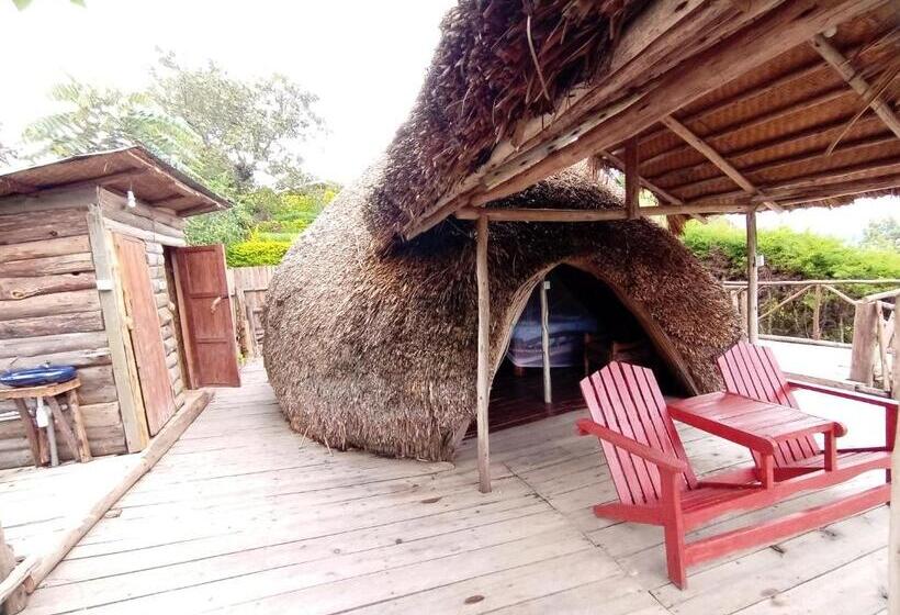 اتاق خانوادگی, Paradise Eco Hub