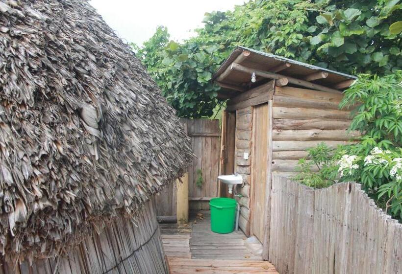 اتاق خانوادگی, Paradise Eco Hub