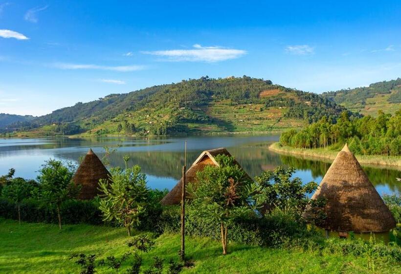 اتاق خانوادگی, Paradise Eco Hub