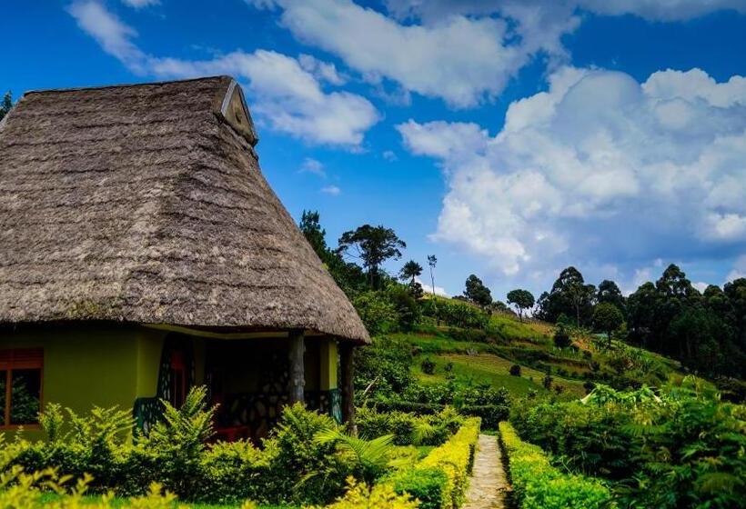 اتاق خانوادگی, Paradise Eco Hub