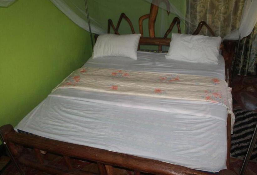 اتاق خانوادگی, Paradise Eco Hub