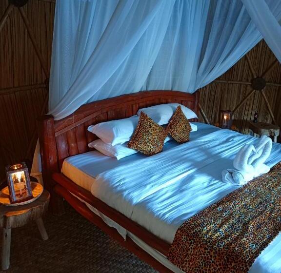 سوئیت با تخت بزرگ, Paradise Eco Hub