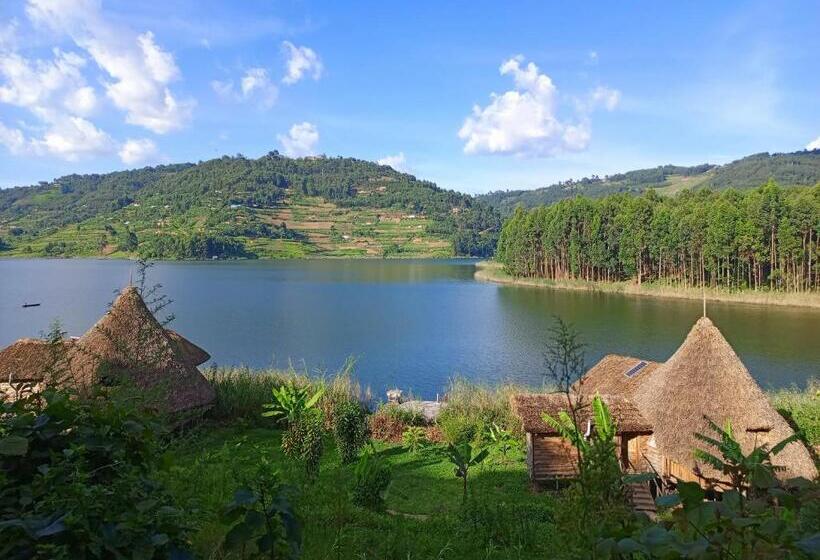 سوئیت با تخت بزرگ, Paradise Eco Hub